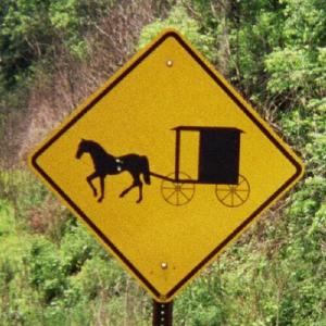 Horse and buggy crossing!