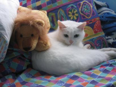 Masha and her boyfriend Mister Lion